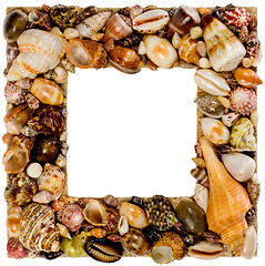 Image showing Frame made from seashells

