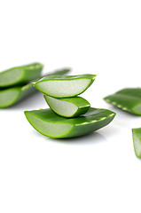 Image showing Aloe vera leaves 