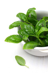 Image showing Fresh basil leaves