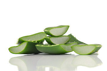 Image showing Aloe vera leaves 