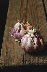 Image showing  raw pink garlic 