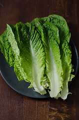 Image showing romaine lettuce