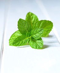 Image showing Fresh peppermint leaves