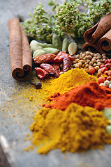 Image showing Herbs and spices selection