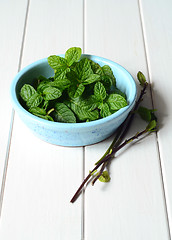 Image showing Fresh peppermint leaves