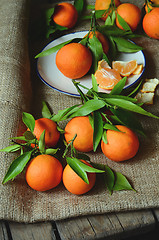 Image showing fresh mandarins with leafs