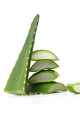 Image showing Aloe vera leaves 