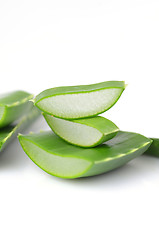 Image showing Aloe vera leaves 