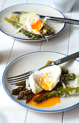 Image showing Green asparagus with poached egg