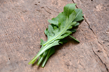 Image showing Fresh rucola