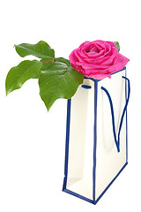 Image showing Shopping Bag with Flower