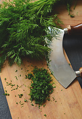 Image showing Chopping fresh dill