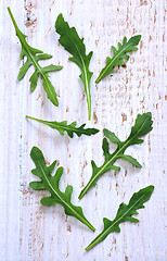 Image showing Fresh rucola