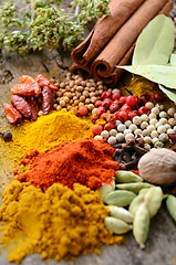 Image showing Herbs and spices selection