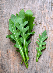 Image showing Fresh rucola