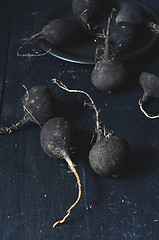 Image showing Black winter radish