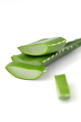 Image showing Aloe vera leaves 