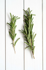 Image showing Rosemary on wooden background