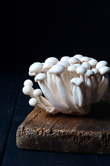 Image showing Shimeji mushrooms on wood