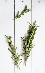 Image showing Rosemary on wooden background