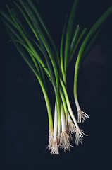 Image showing  bunch of green onions 