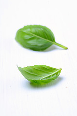 Image showing Fresh basil leaves