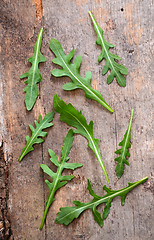 Image showing Fresh rucola