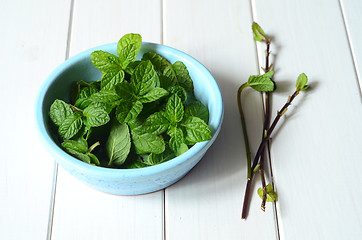 Image showing Fresh peppermint leaves