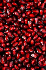 Image showing  Fresh pomegranate seeds