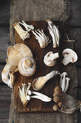 Image showing Variety of Mushrooms