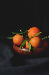 Image showing fresh mandarins with leafs