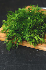 Image showing bunch of fresh  dill 