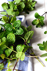 Image showing Fresh peppermint leaves