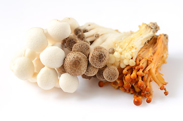 Image showing Shimeji mushrooms on white