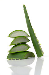 Image showing Aloe vera leaves 