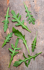 Image showing Fresh rucola