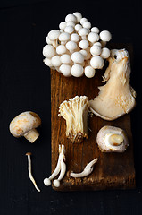 Image showing Variety of Mushrooms