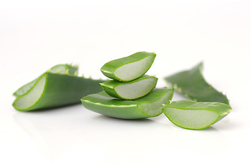 Image showing Aloe vera leaves 