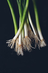 Image showing  bunch of green onions 