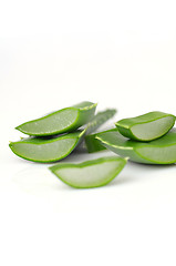 Image showing Aloe vera leaves 