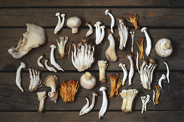 Image showing Variety of Mushrooms