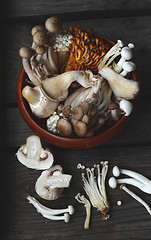 Image showing Variety of Mushrooms