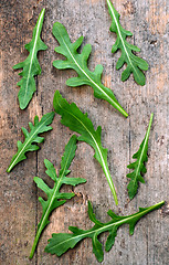 Image showing Fresh rucola