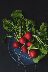 Image showing  fresh radishes on wooden table