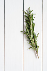 Image showing Rosemary on wooden background