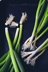 Image showing  bunch of green onions 