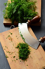 Image showing Chopping fresh dill