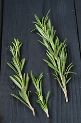 Image showing Rosemary on wooden background