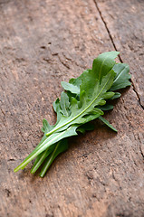 Image showing Fresh rucola