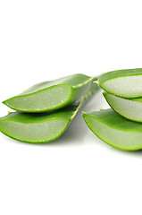 Image showing Aloe vera leaves 